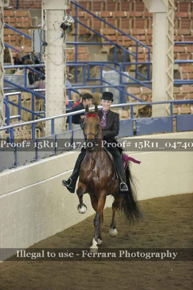 Proof Number 15R11_04740