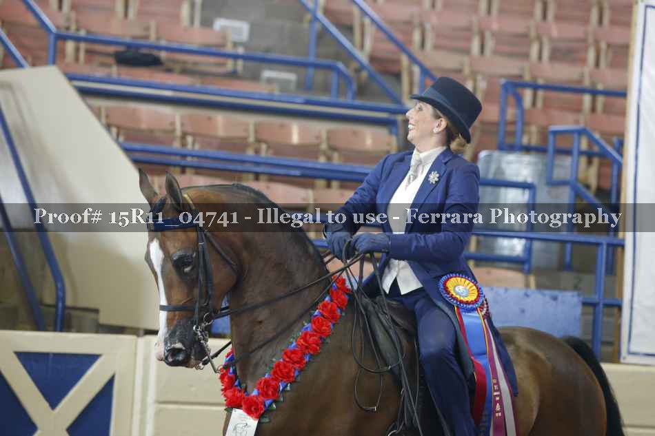 Proof Number 15R11_04741