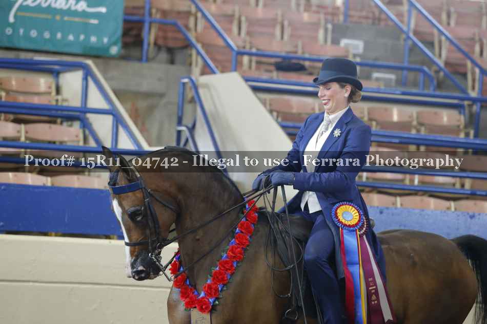 Proof Number 15R11_04742