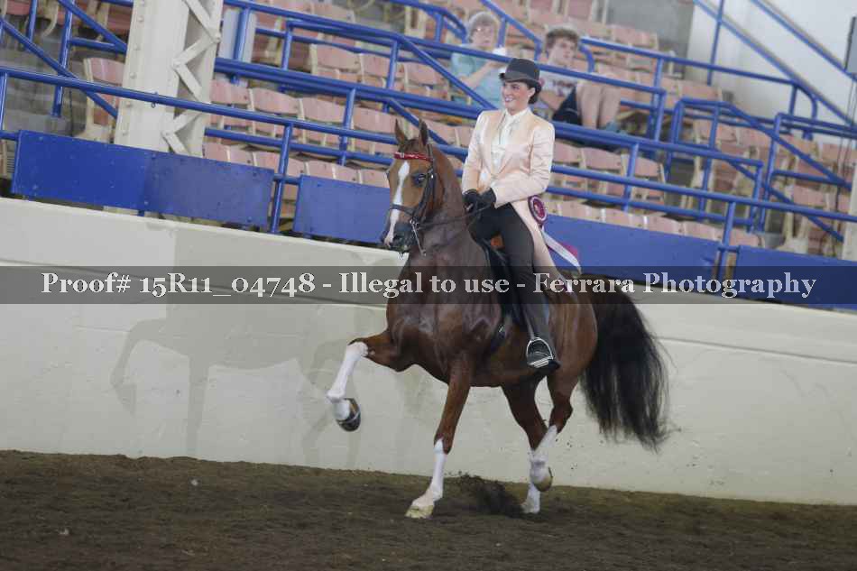 Proof Number 15R11_04748