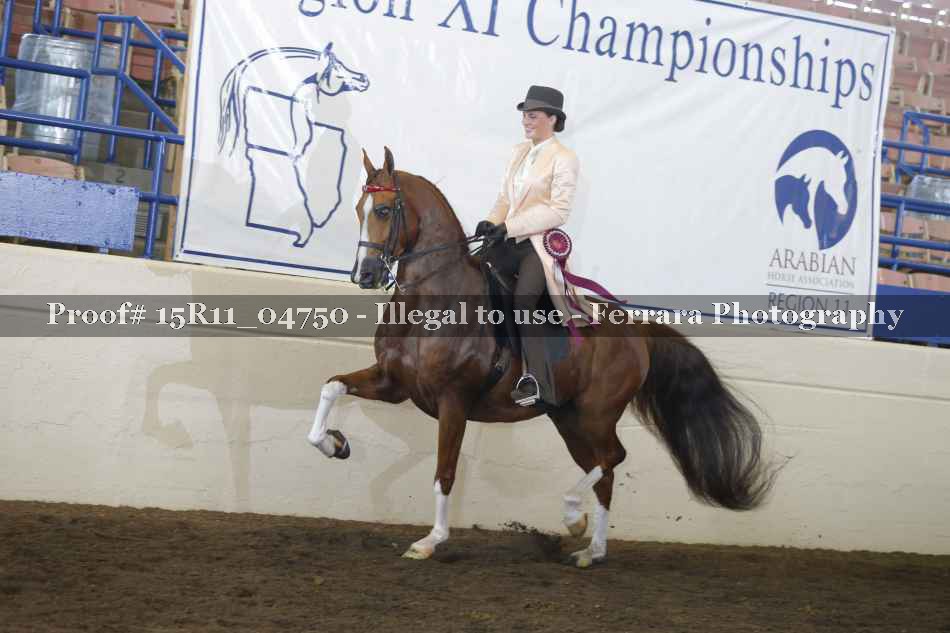 Proof Number 15R11_04750