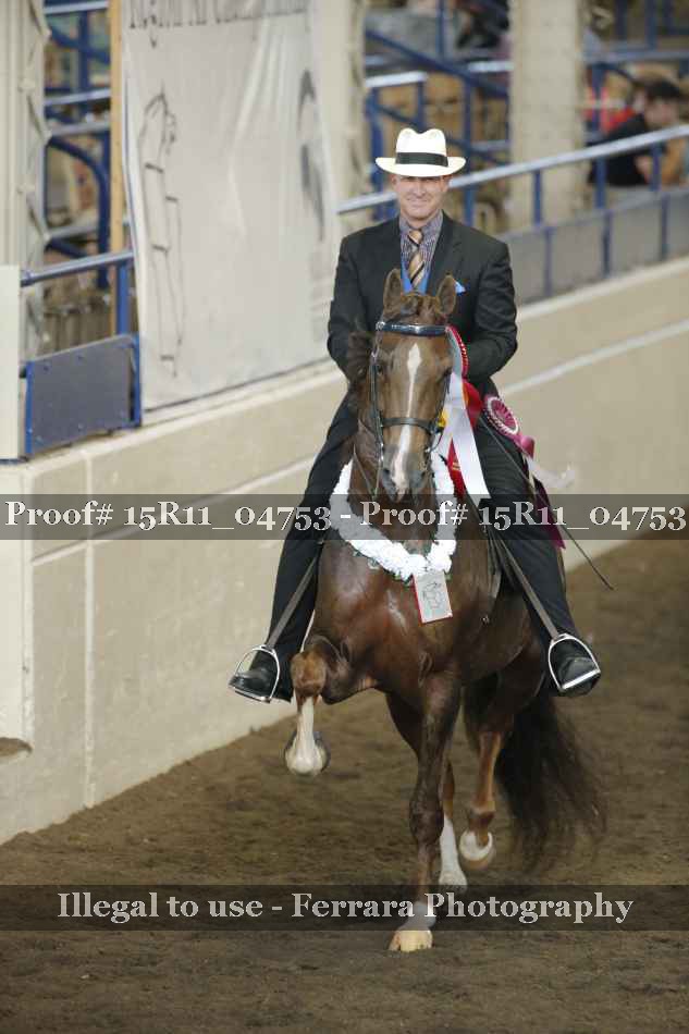 Proof Number 15R11_04753