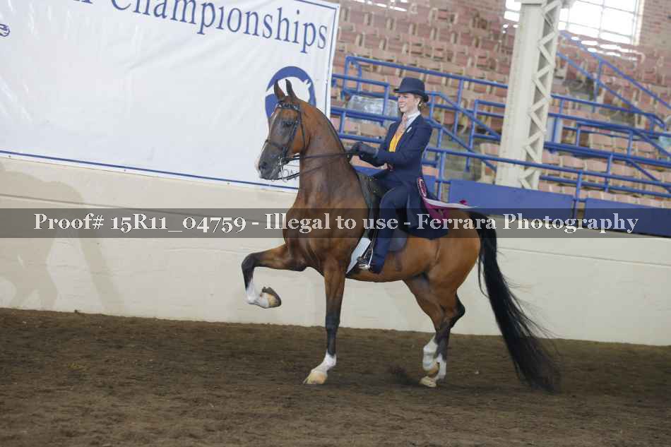 Proof Number 15R11_04759
