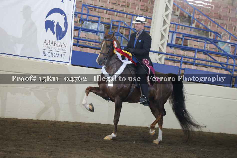 Proof Number 15R11_04762