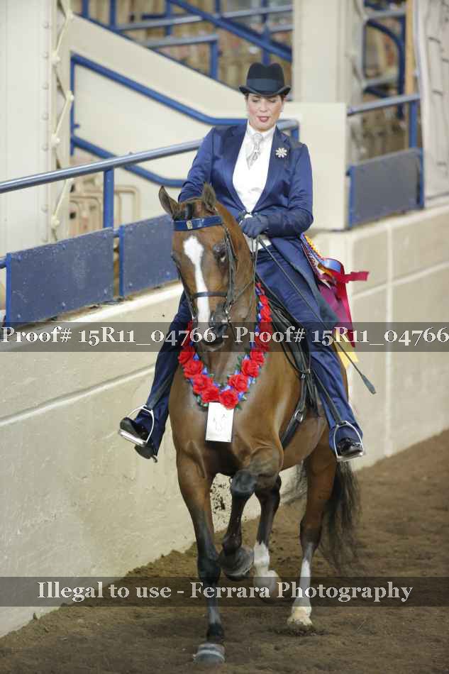 Proof Number 15R11_04766