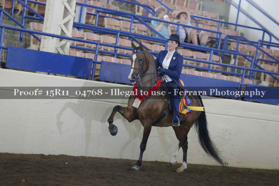 Proof Number 15R11_04768