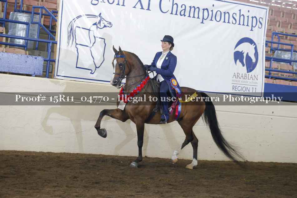 Proof Number 15R11_04770