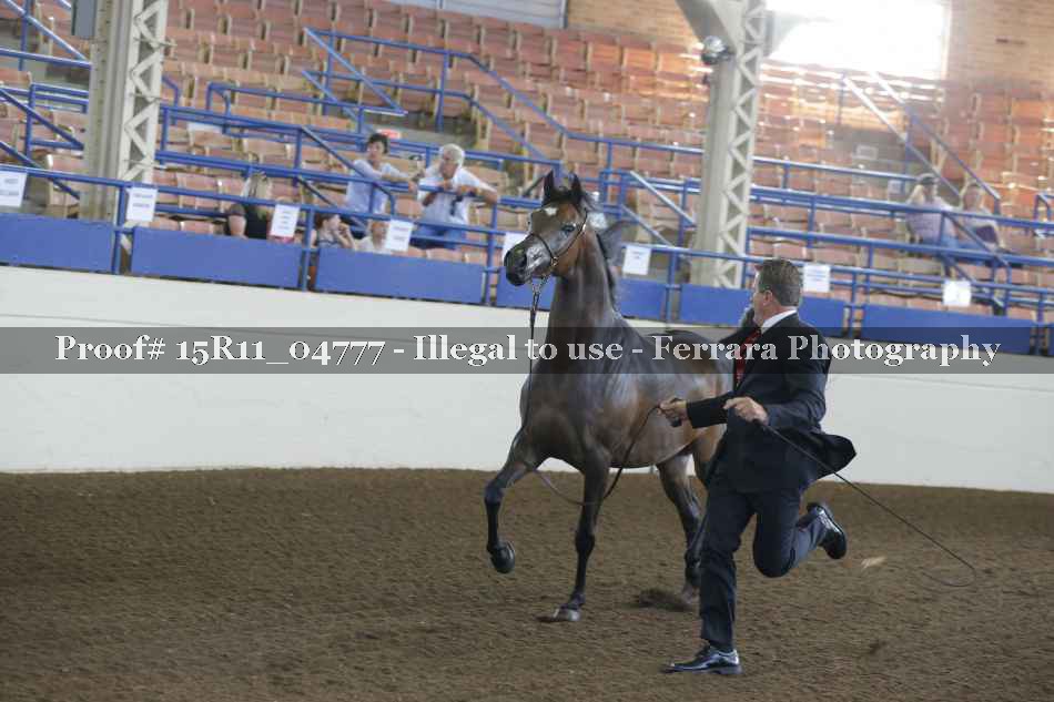Proof Number 15R11_04777