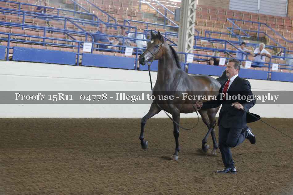 Proof Number 15R11_04778