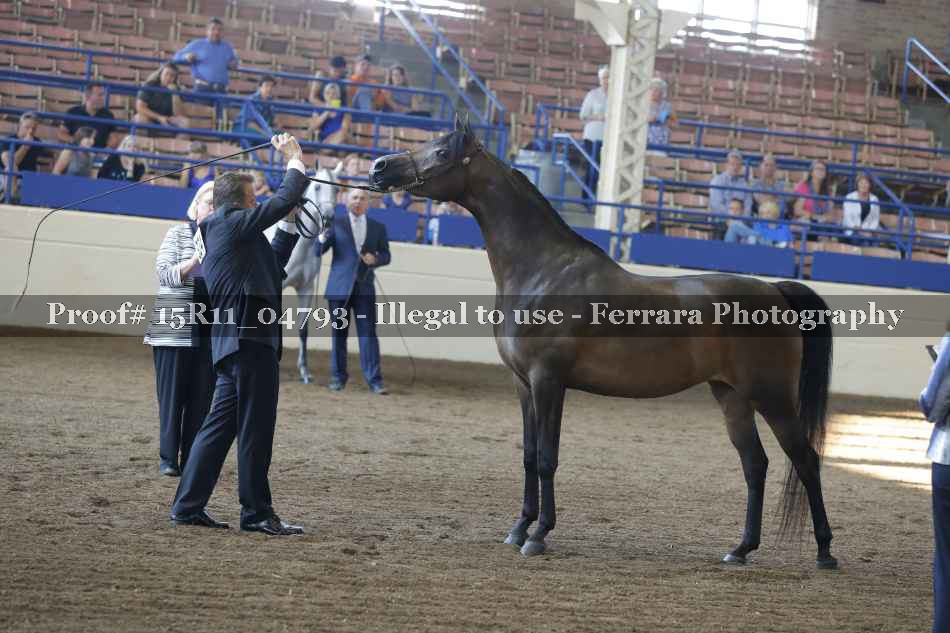 Proof Number 15R11_04793