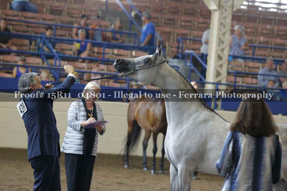 Proof Number 15R11_04801