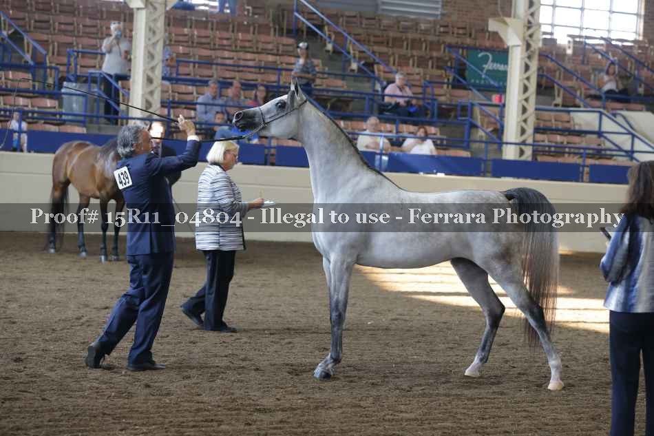 Proof Number 15R11_04804