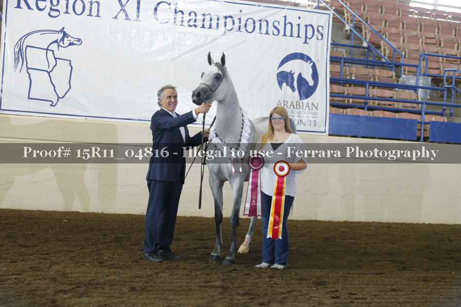 Proof Number 15R11_04816