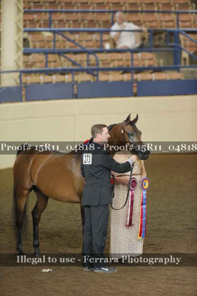 Proof Number 15R11_04818