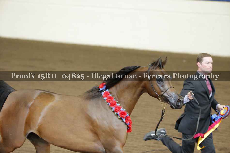 Proof Number 15R11_04825