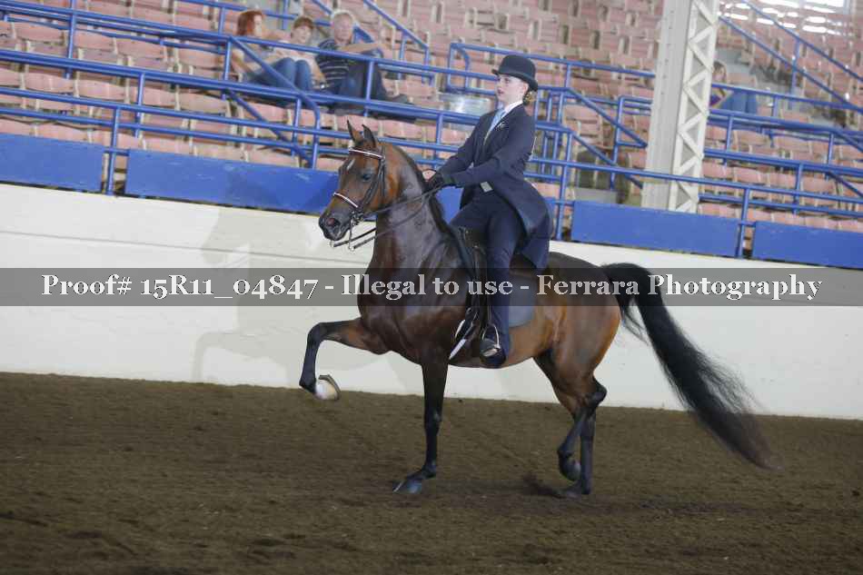 Proof Number 15R11_04847