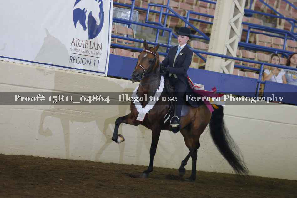 Proof Number 15R11_04864