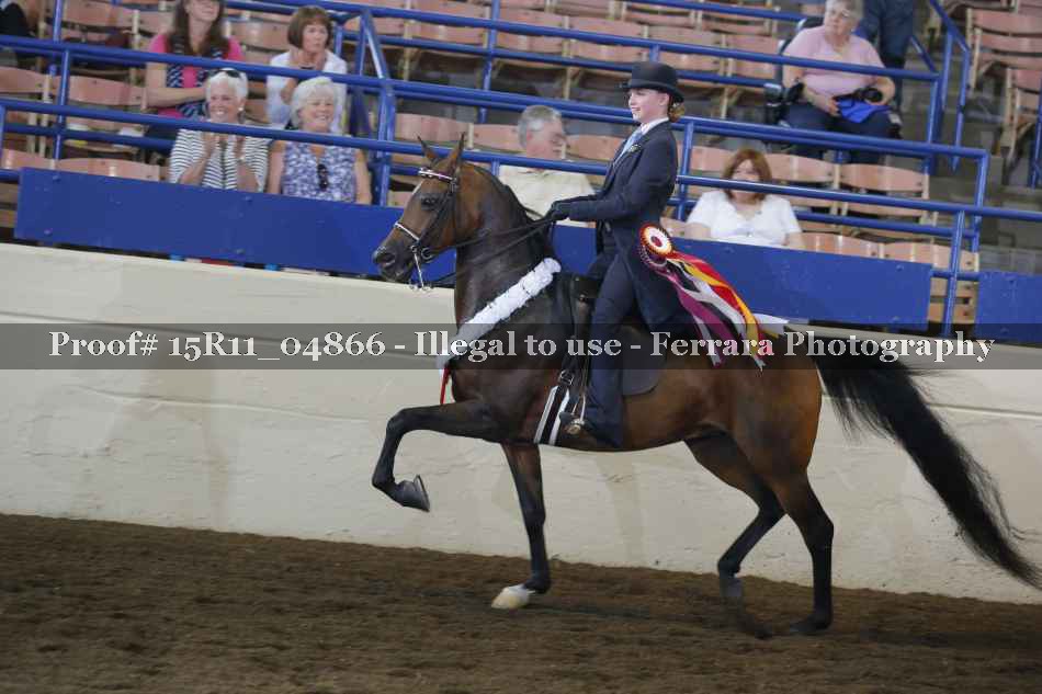 Proof Number 15R11_04866