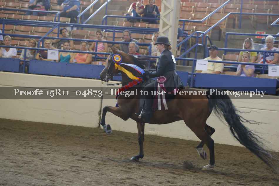 Proof Number 15R11_04873