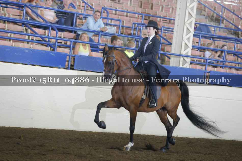 Proof Number 15R11_04886