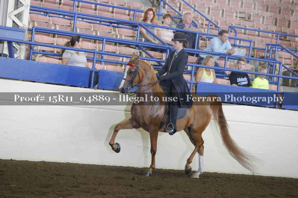 Proof Number 15R11_04889
