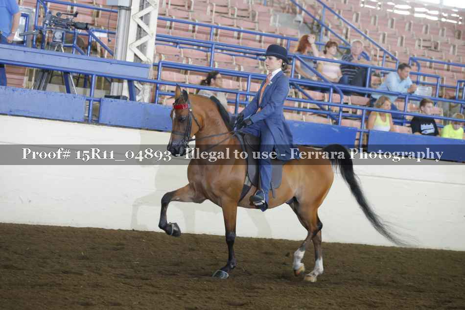 Proof Number 15R11_04893