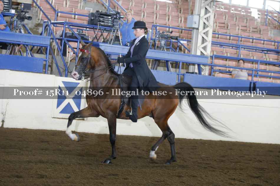 Proof Number 15R11_04896