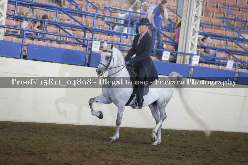 Proof Number 15R11_04898