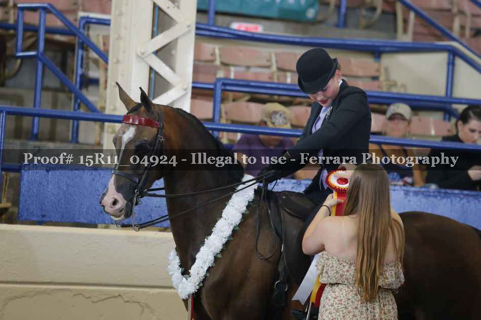 Proof Number 15R11_04924