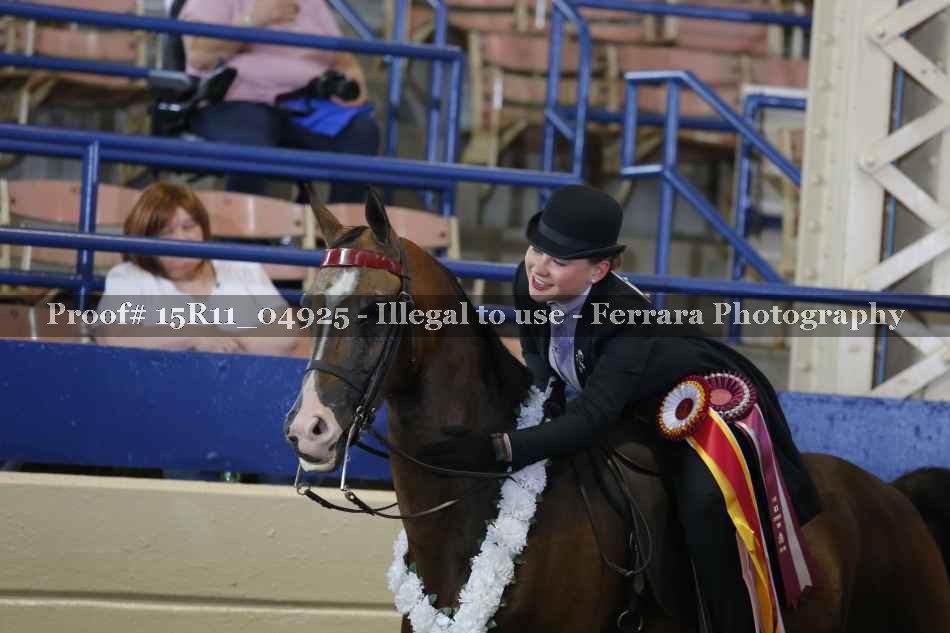 Proof Number 15R11_04925