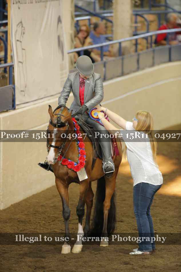 Proof Number 15R11_04927