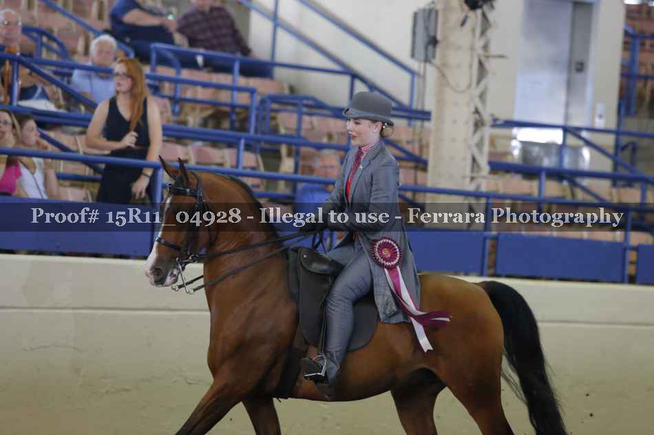 Proof Number 15R11_04928