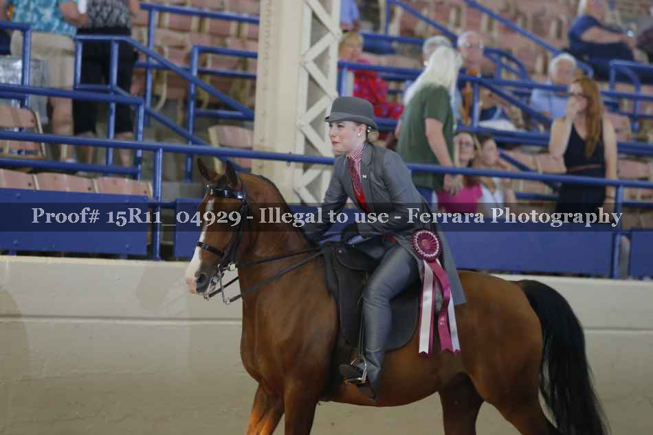 Proof Number 15R11_04929