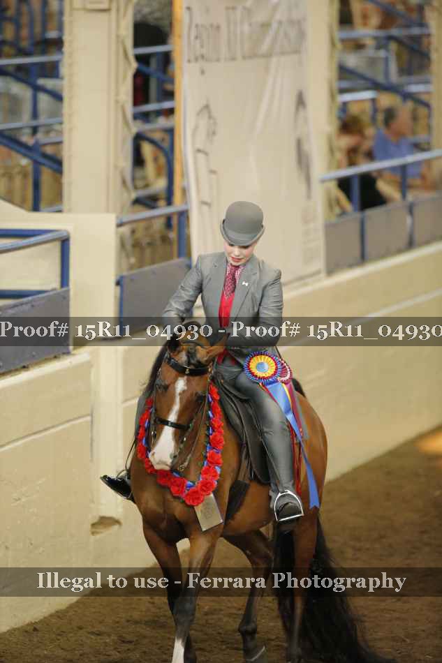Proof Number 15R11_04930