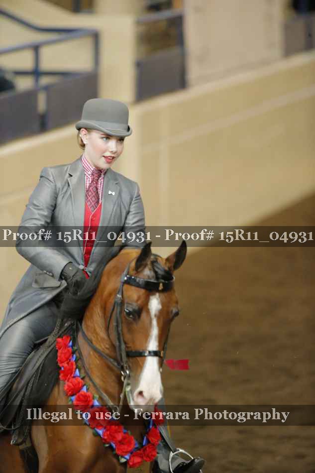 Proof Number 15R11_04931