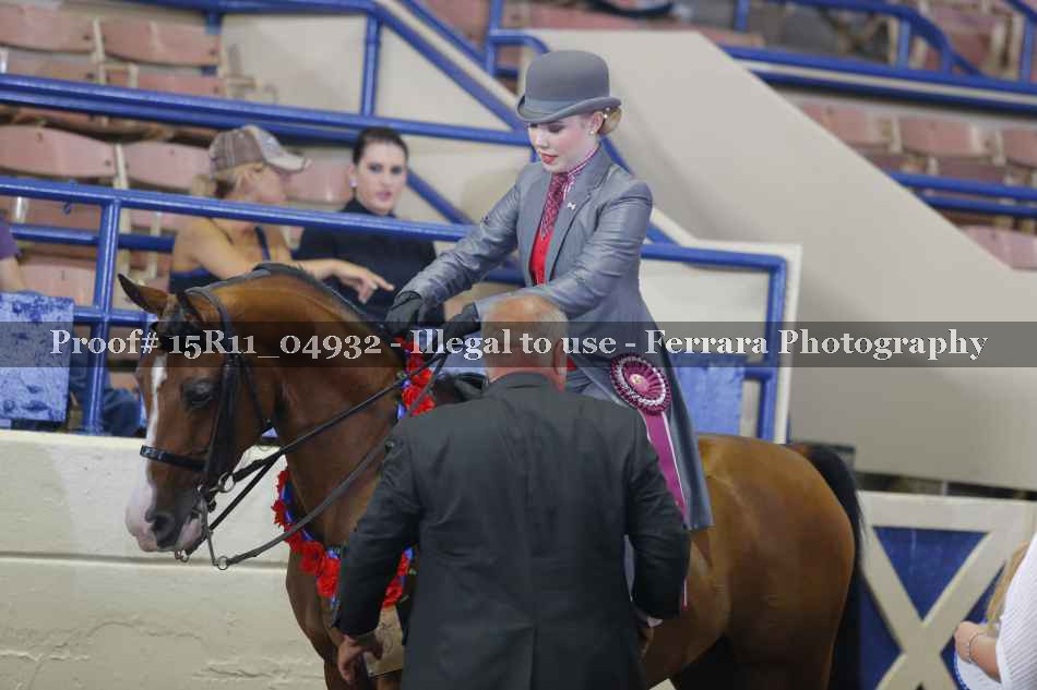 Proof Number 15R11_04932