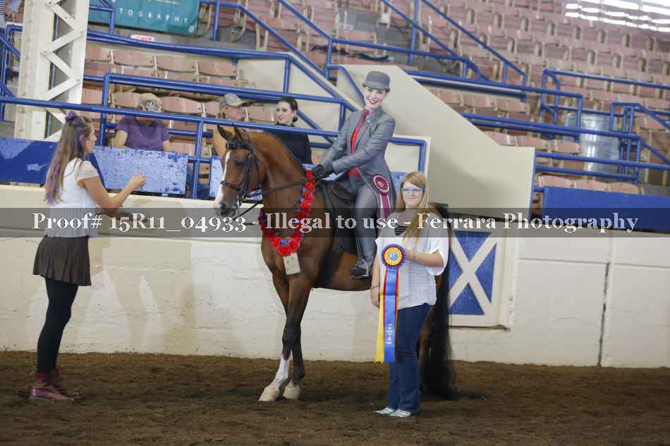 Proof Number 15R11_04933