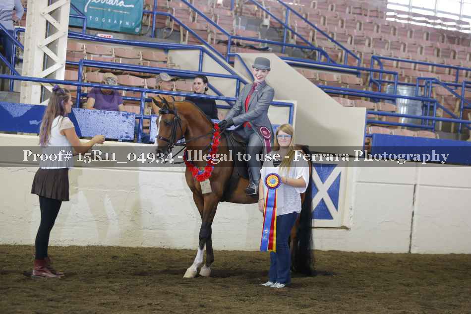 Proof Number 15R11_04934