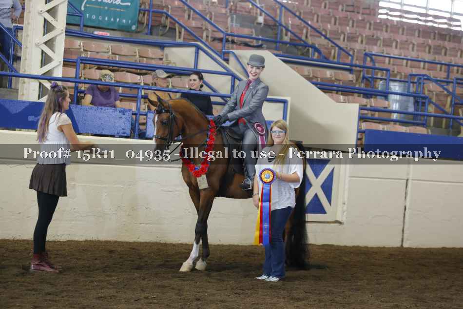 Proof Number 15R11_04935