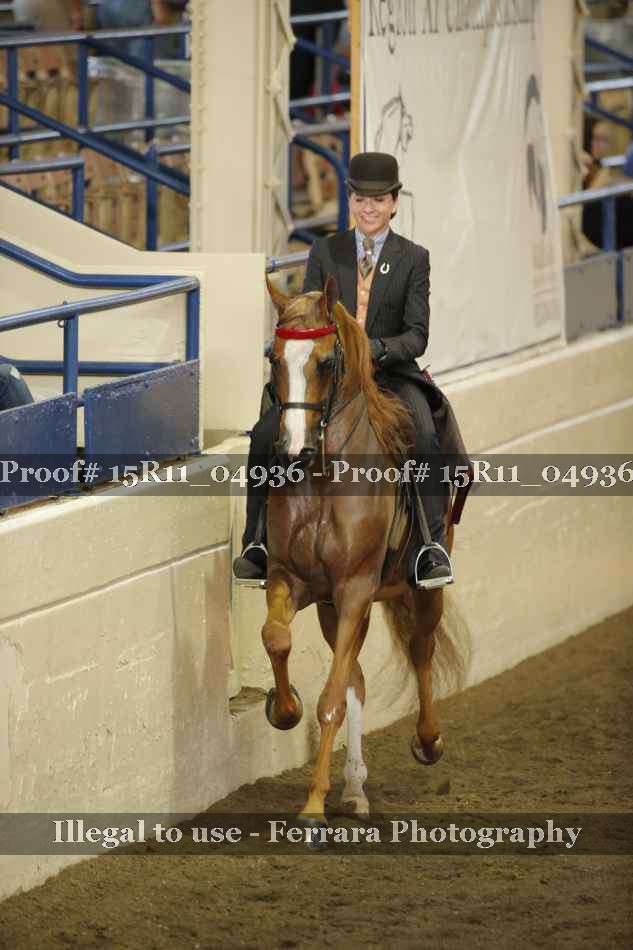 Proof Number 15R11_04936