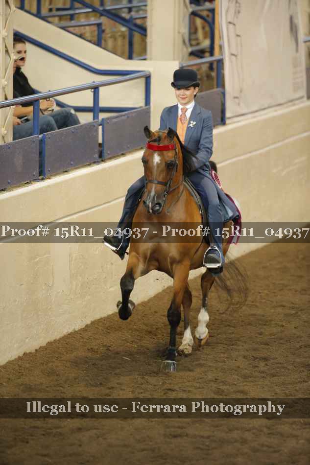 Proof Number 15R11_04937