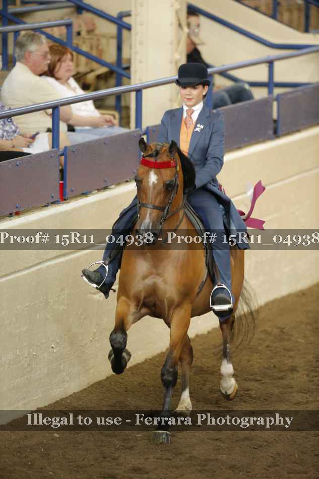 Proof Number 15R11_04938