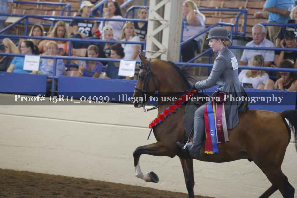 Proof Number 15R11_04939