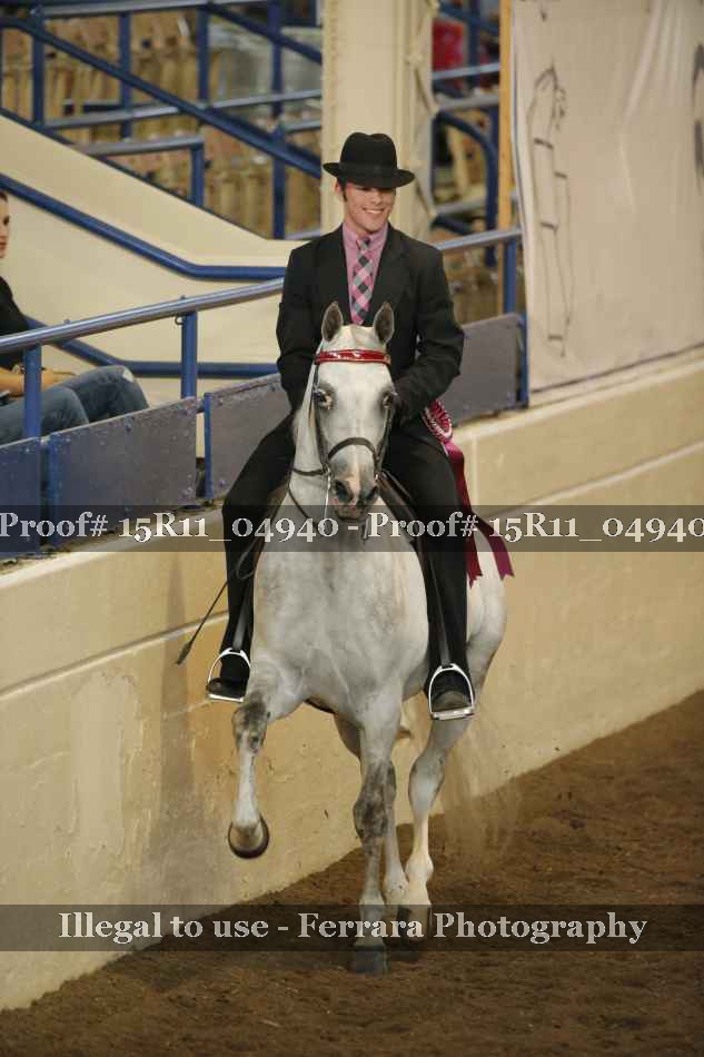 Proof Number 15R11_04940