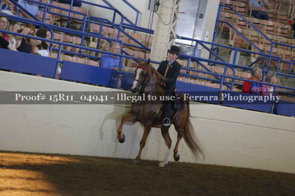 Proof Number 15R11_04941