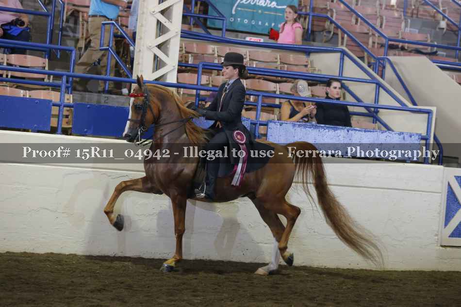 Proof Number 15R11_04942