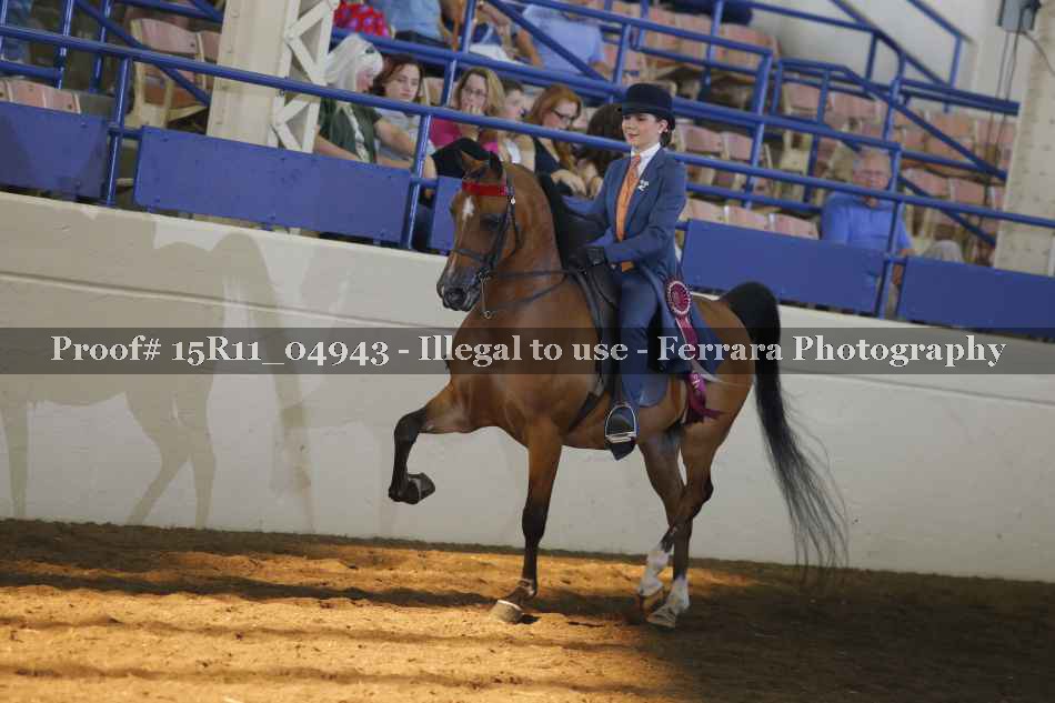 Proof Number 15R11_04943