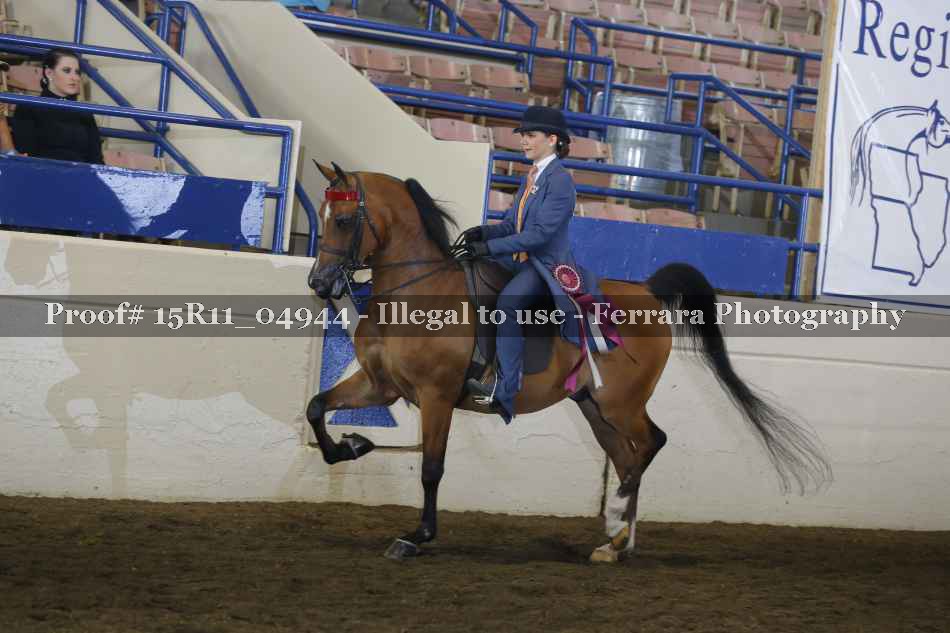Proof Number 15R11_04944