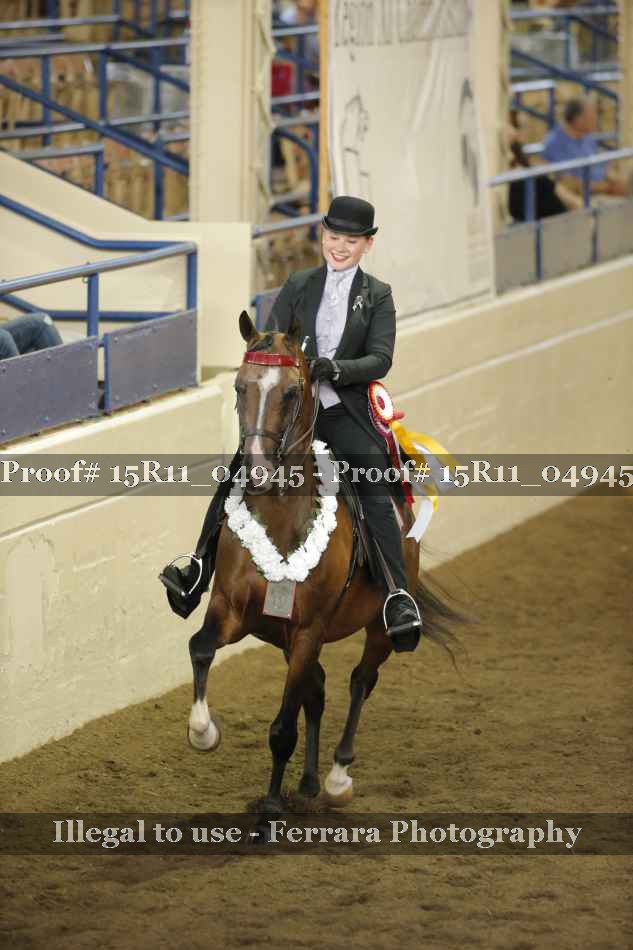 Proof Number 15R11_04945