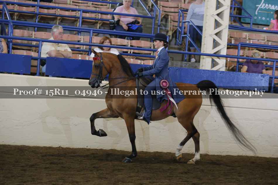 Proof Number 15R11_04946